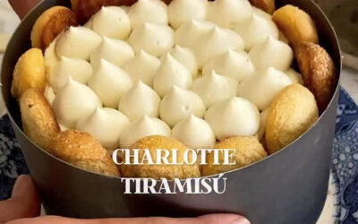 CHARLOTTE TIRAMISÚ